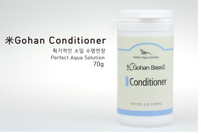 PAS Base 2 고한 컨디셔너 [GoHan Conditioner 70g]